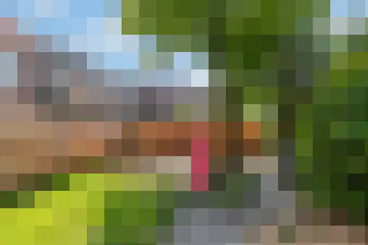 Warenargaarde 550 Apeldoorn thumbnail 25