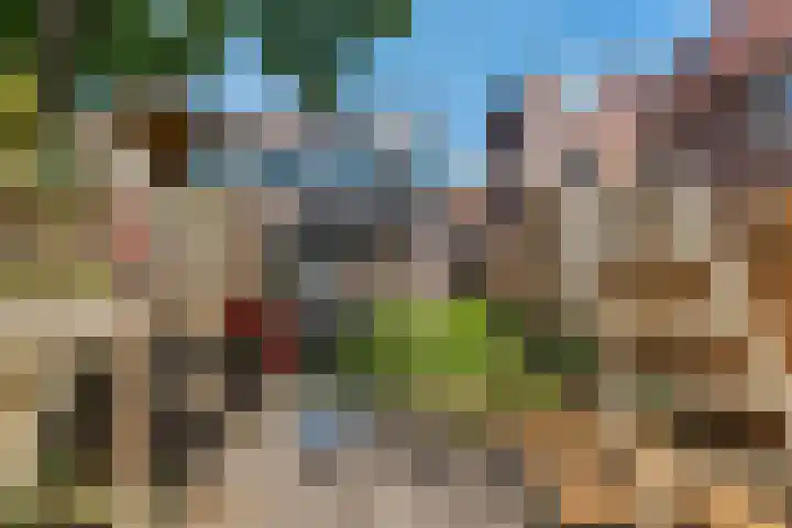 Warenargaarde 550 Apeldoorn thumbnail 27