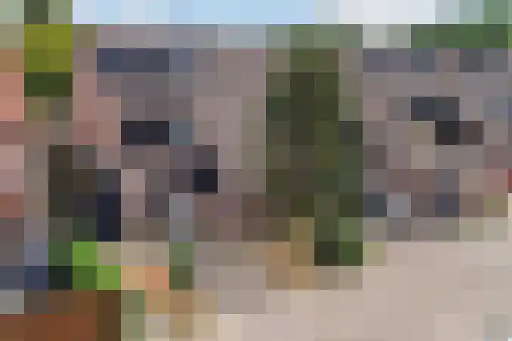 Warenargaarde 550 Apeldoorn thumbnail 36