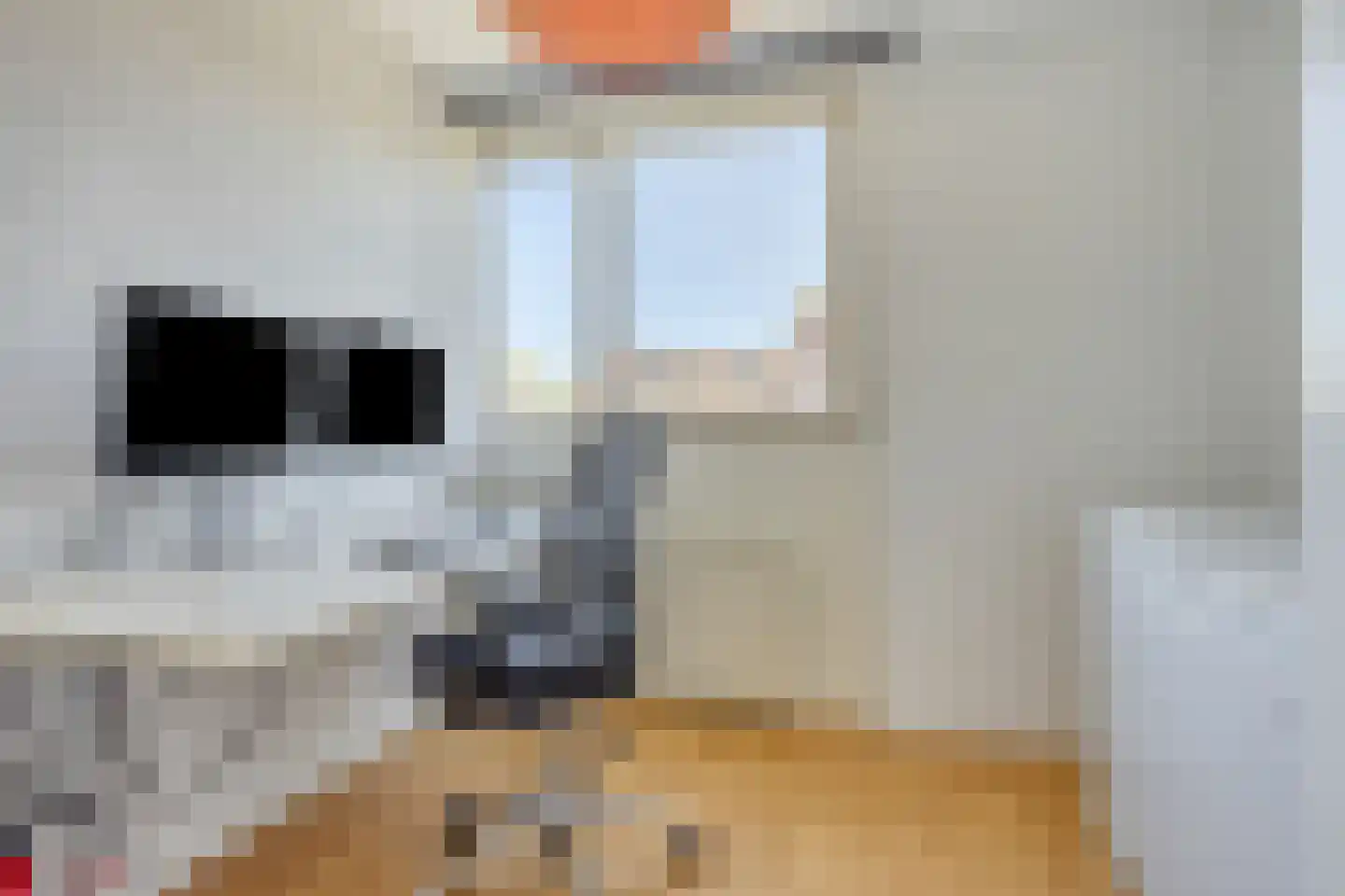 Warendorp 53 Veenendaal thumbnail 20