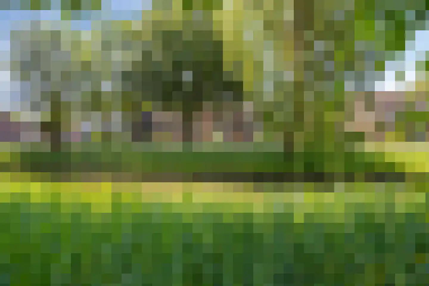 Warendorp 53 Veenendaal thumbnail 26