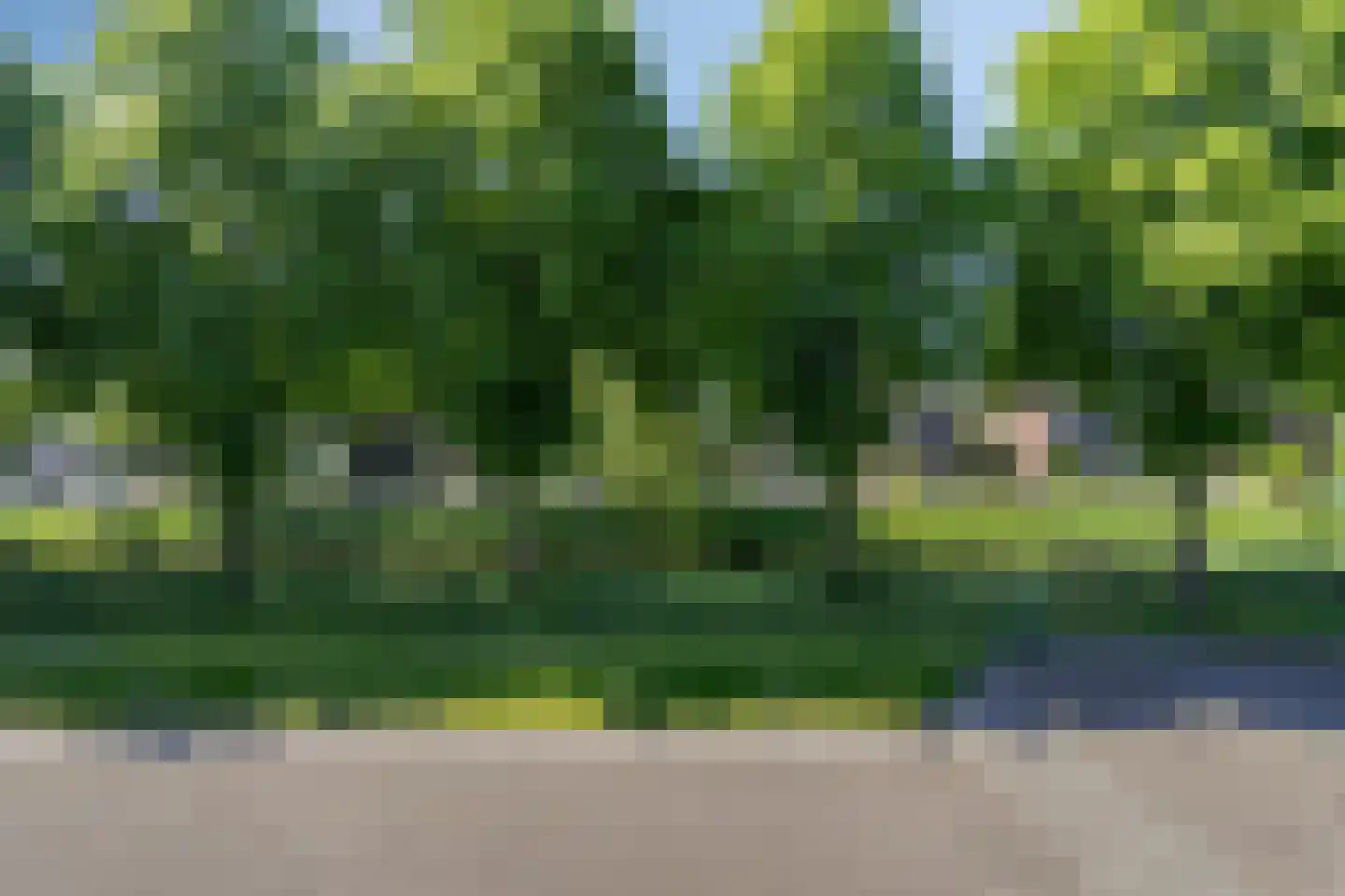 Warendorp 53 Veenendaal thumbnail 4