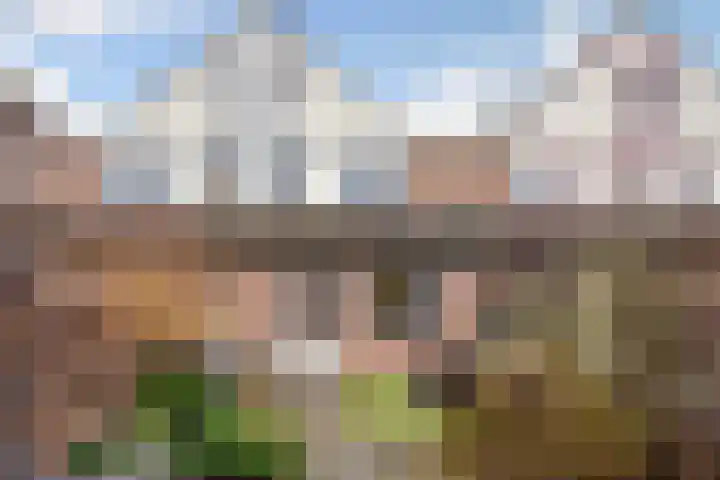 Warendorp 55 Veenendaal thumbnail 25