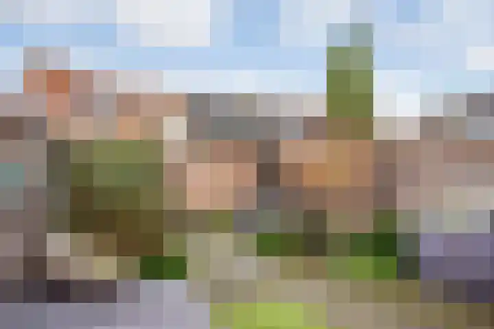 Warendorp 55 Veenendaal thumbnail 26