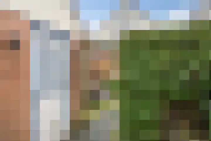 Warendorp 55 Veenendaal thumbnail 28