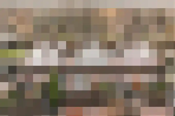 Warendorp 55 Veenendaal thumbnail 4