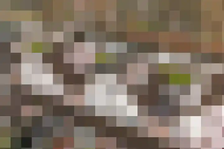 Warendorp 55 Veenendaal thumbnail 5