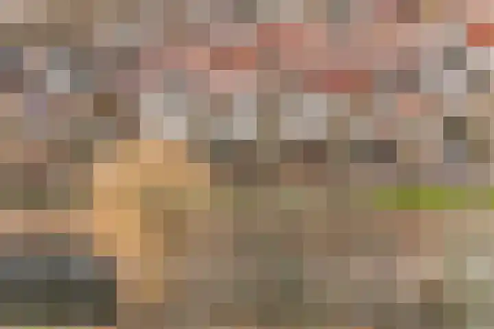 Warendorp 55 Veenendaal thumbnail 6