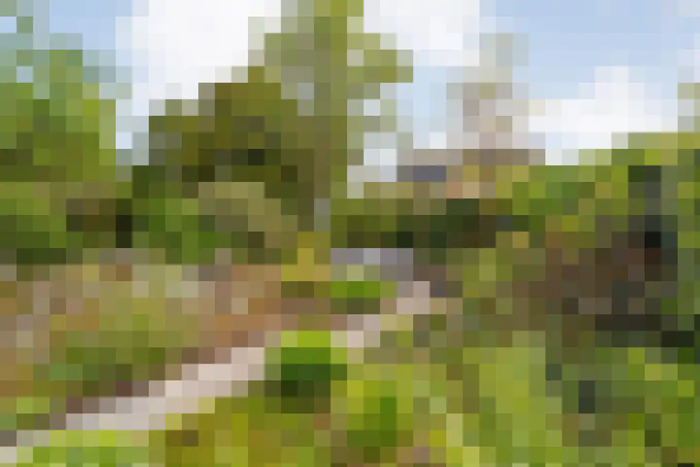 Warenveldehoek 42 Enschede thumbnail 31