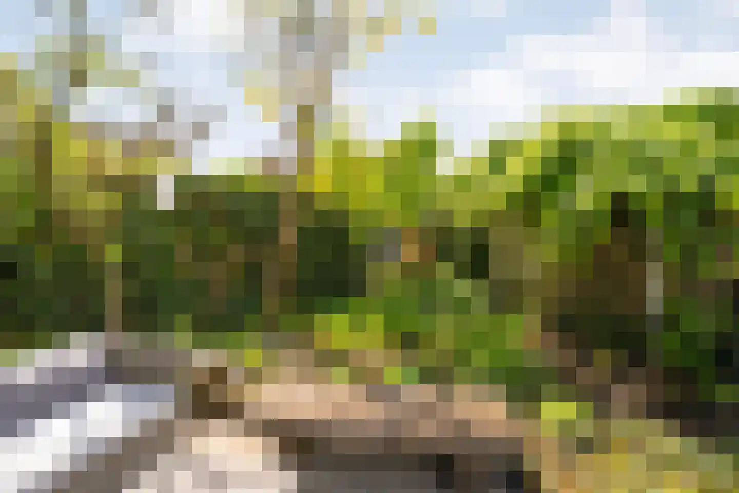 Warenveldehoek 42 Enschede thumbnail 32