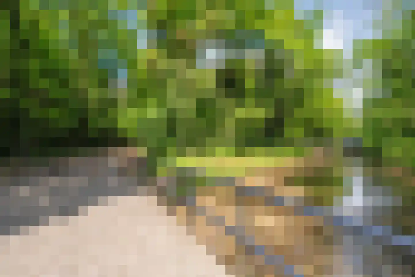Warenveldehoek 42 Enschede thumbnail 34