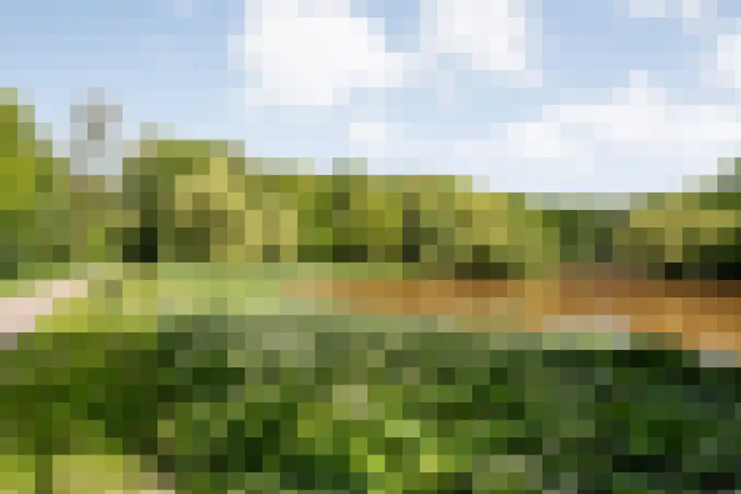 Warenveldehoek 42 Enschede thumbnail 36
