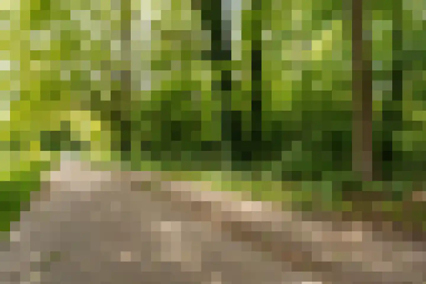 Warenveldehoek 42 Enschede thumbnail 37