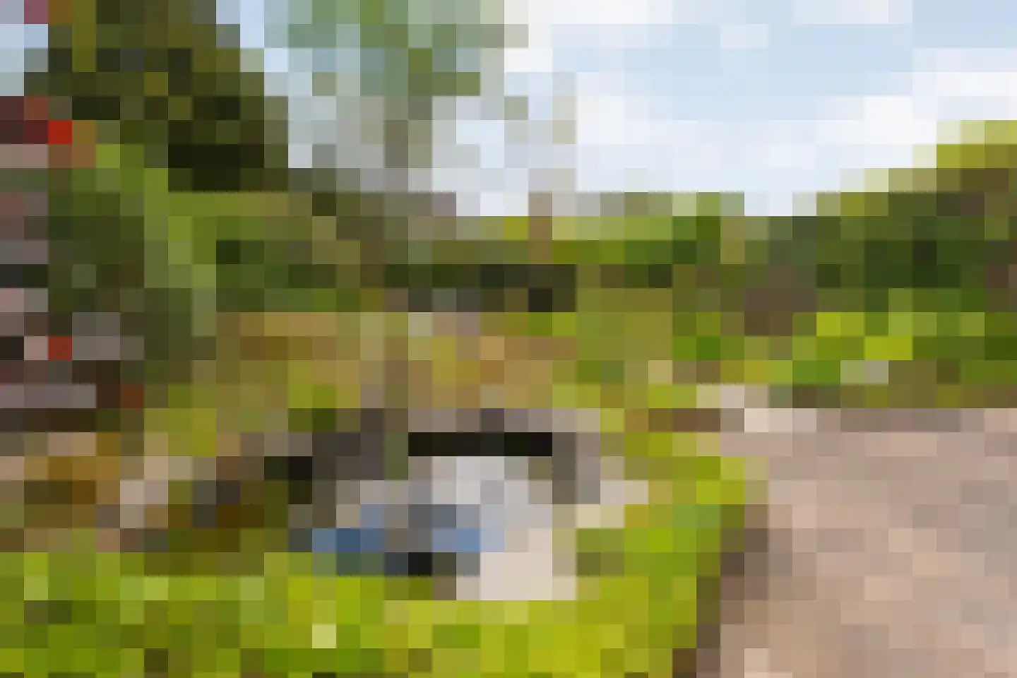 Warenveldehoek 42 Enschede thumbnail 4
