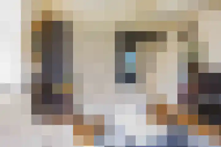 Warfhuisterweg 3 Wehe-den Hoorn thumbnail 10