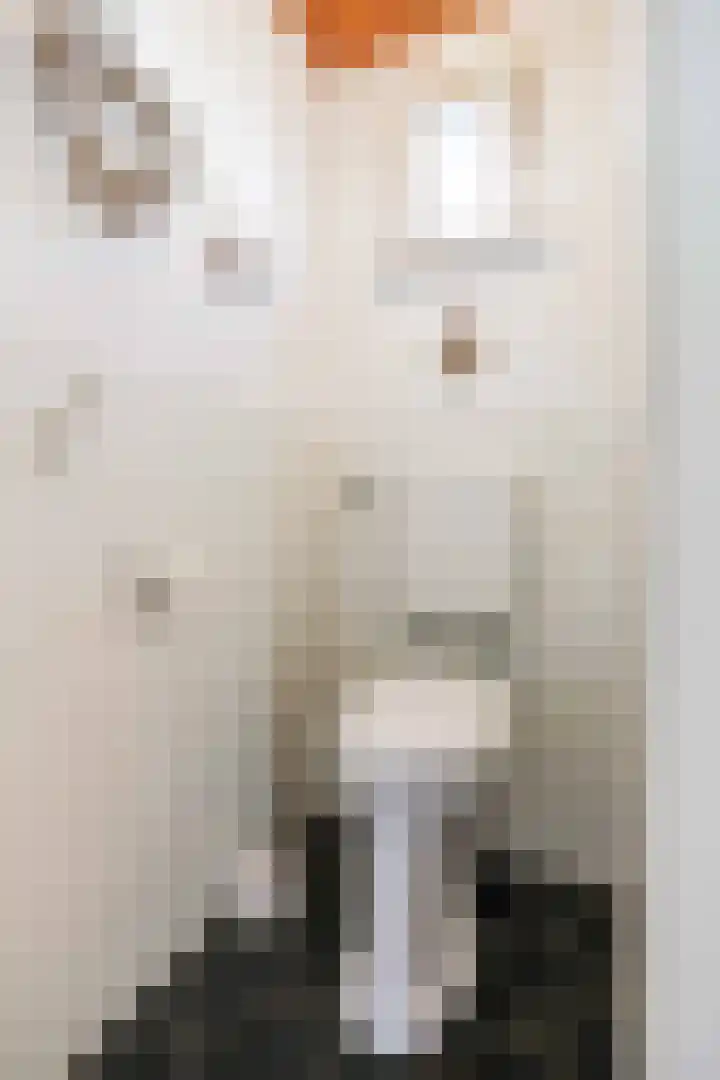 Warfhuisterweg 3 Wehe-den Hoorn thumbnail 15