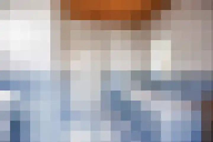 Warfhuisterweg 3 Wehe-den Hoorn thumbnail 22