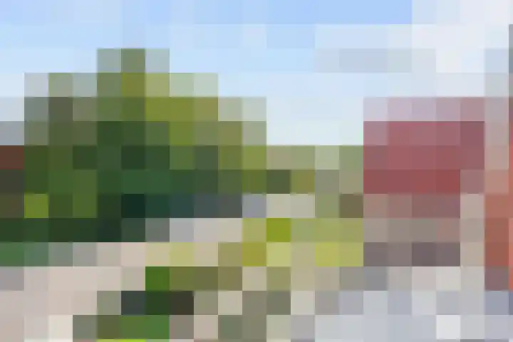 Warfhuisterweg 3 Wehe-den Hoorn thumbnail 30
