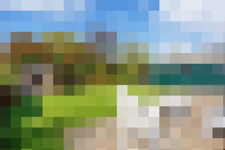 Warfhuisterweg 3 Wehe-den Hoorn thumbnail 33