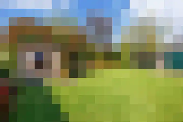 Warfhuisterweg 3 Wehe-den Hoorn thumbnail 34