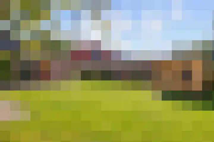 Warfhuisterweg 3 Wehe-den Hoorn thumbnail 38