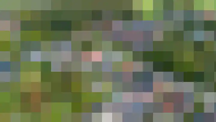 Warfhuisterweg 3 Wehe-den Hoorn thumbnail 42