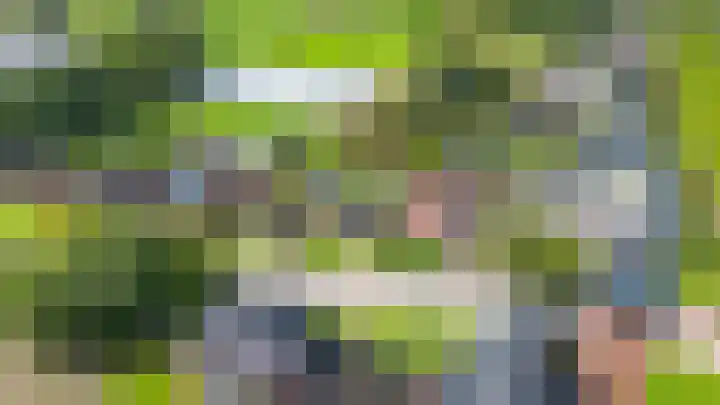 Warfhuisterweg 3 Wehe-den Hoorn thumbnail 43