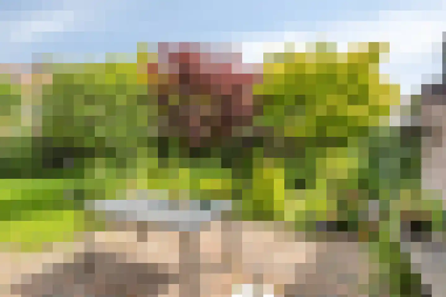 Warfriet 38 Haaksbergen thumbnail 31