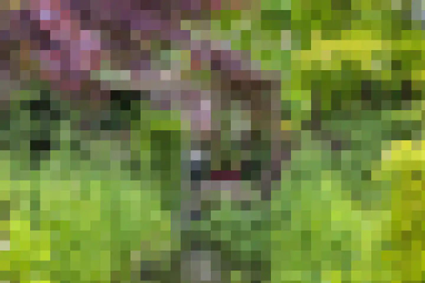 Warfriet 38 Haaksbergen thumbnail 32