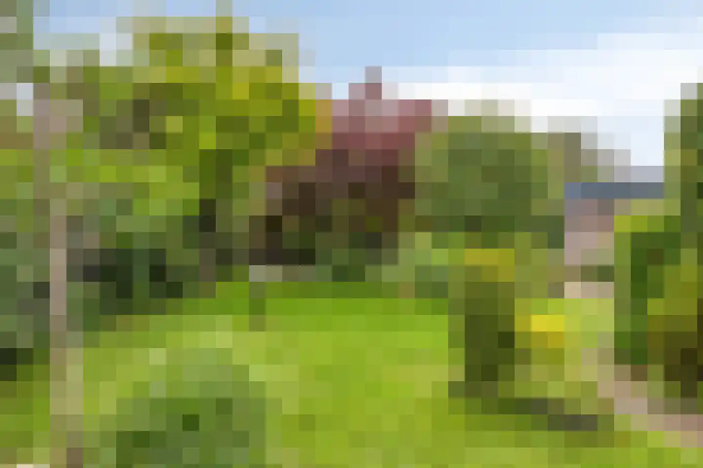 Warfriet 38 Haaksbergen thumbnail 34