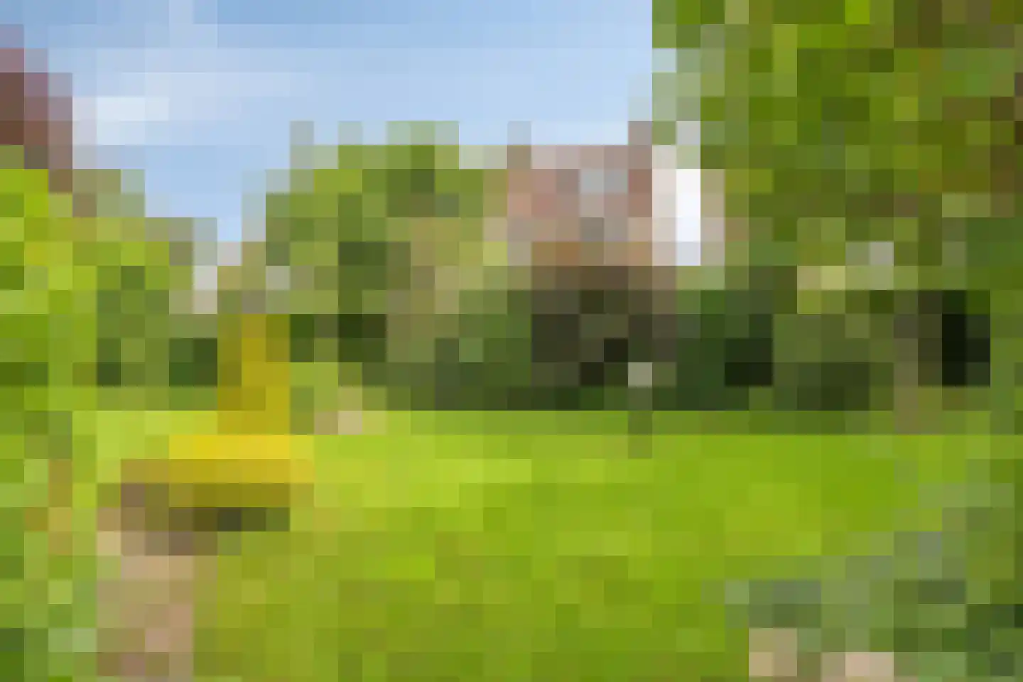 Warfriet 38 Haaksbergen thumbnail 4