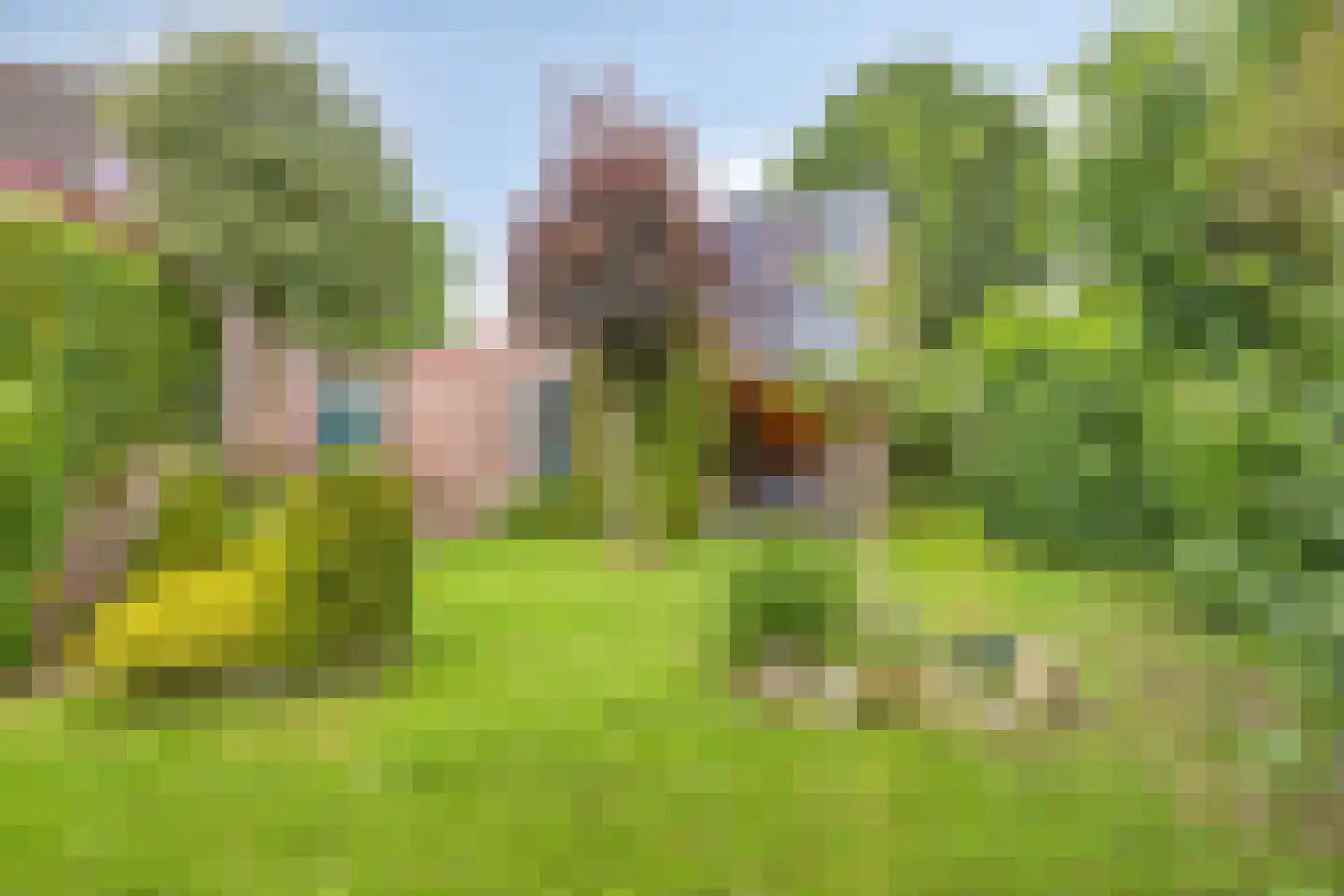 Warfriet 38 Haaksbergen thumbnail 5