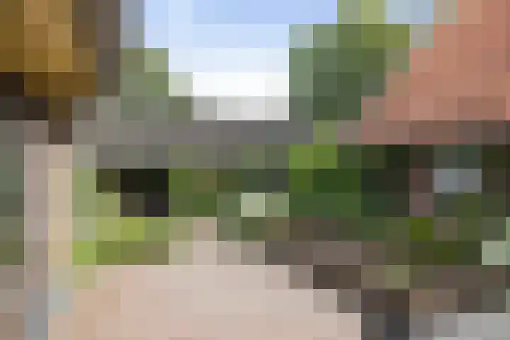 Warfveendijk 18 Laren thumbnail 21