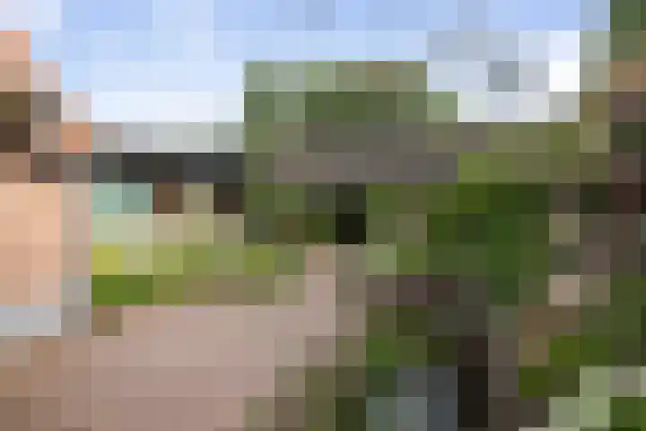 Warfveendijk 18 Laren thumbnail 22