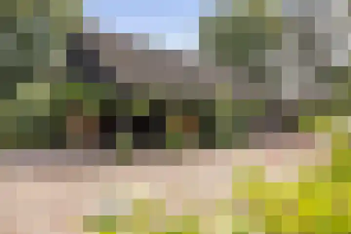 Warfveendijk 18 Laren thumbnail 23