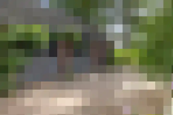 Warfveendijk 18 Laren thumbnail 26