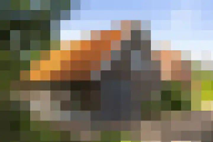 Warfveendijk 18 Laren thumbnail 27