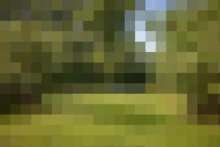 Warfveendijk 18 Laren thumbnail 30