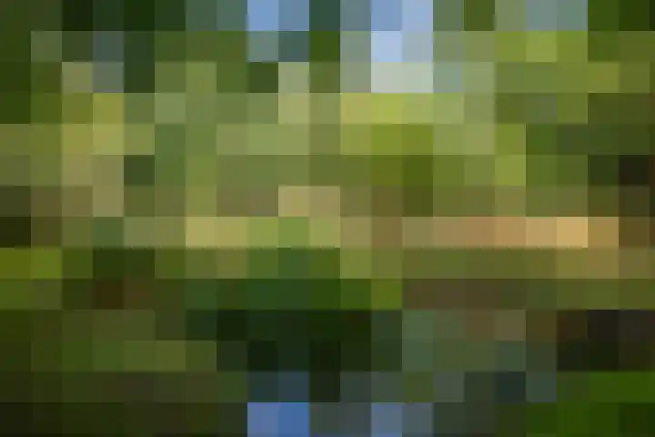 Warfveendijk 18 Laren thumbnail 31