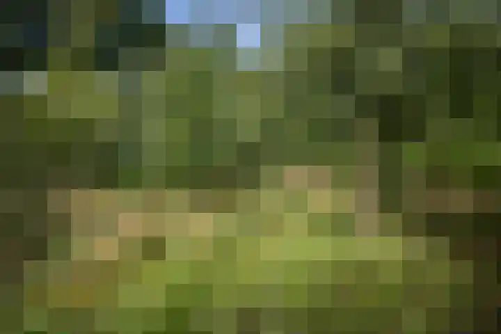 Warfveendijk 18 Laren thumbnail 33