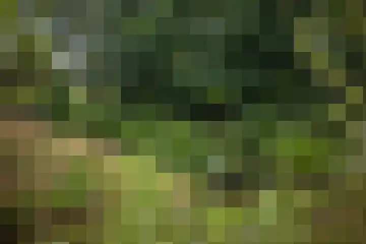 Warfveendijk 18 Laren thumbnail 34