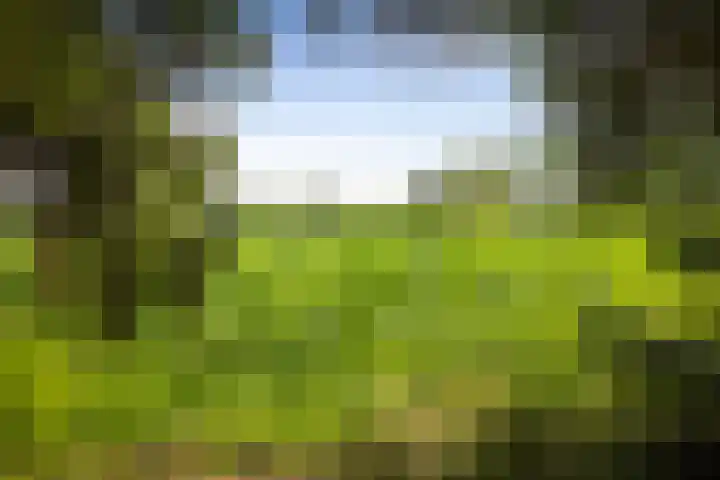 Warfveendijk 18 Laren thumbnail 35