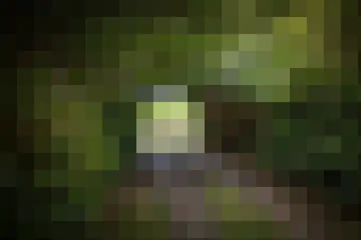 Warfveendijk 18 Laren thumbnail 36