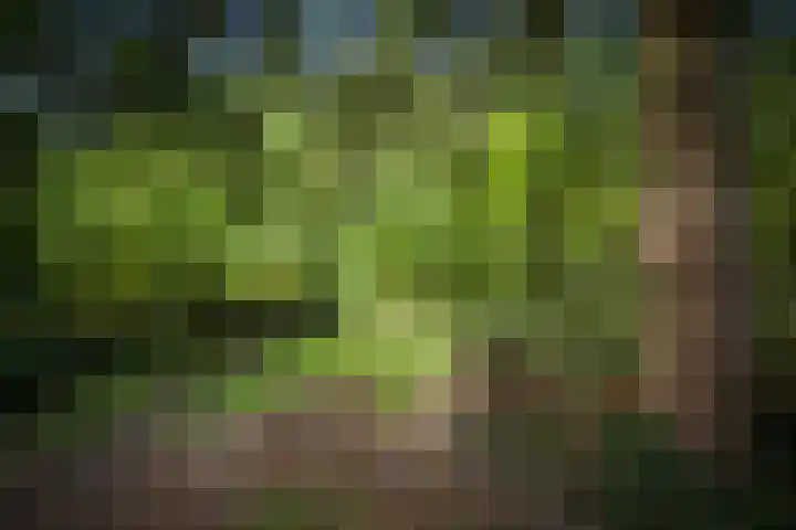 Warfveendijk 18 Laren thumbnail 37