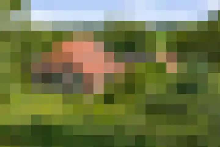 Warfveendijk 18 Laren thumbnail 38