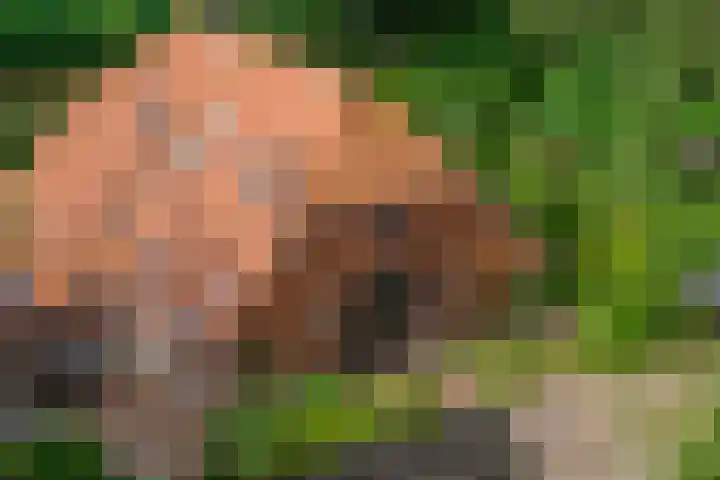 Warfveendijk 18 Laren thumbnail 39