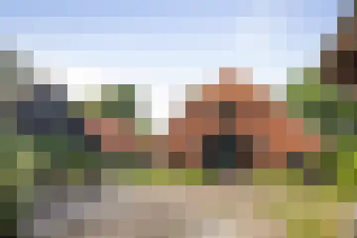 Warfveendijk 18 Laren thumbnail 40