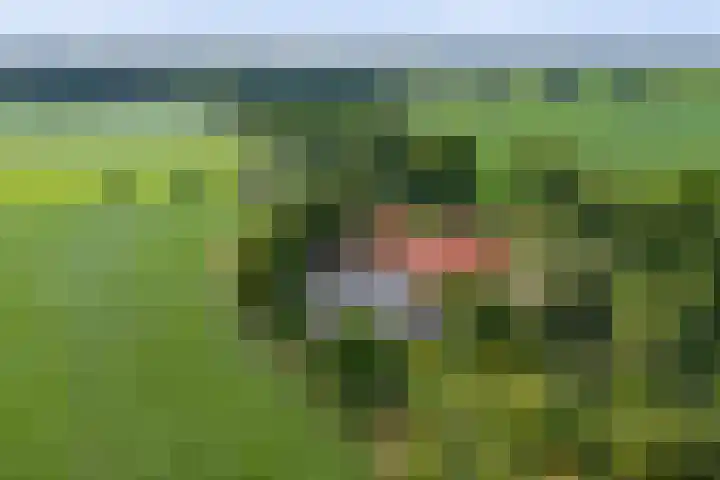 Warfveendijk 18 Laren thumbnail 42