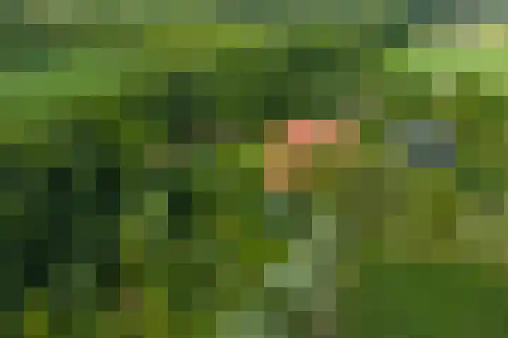 Warfveendijk 18 Laren thumbnail 43