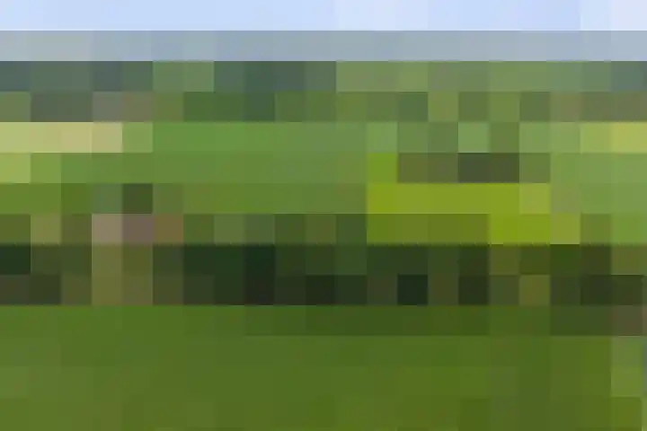 Warfveendijk 18 Laren thumbnail 45
